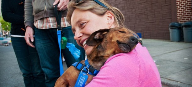 Five Reasons Why Donating Dog Food to a Shelter Makes a Difference
